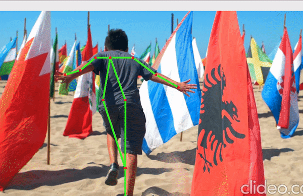 Pose Estimation Detection